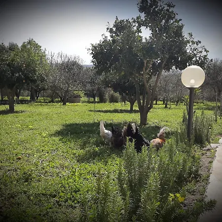 Apartman Chiara's Country *